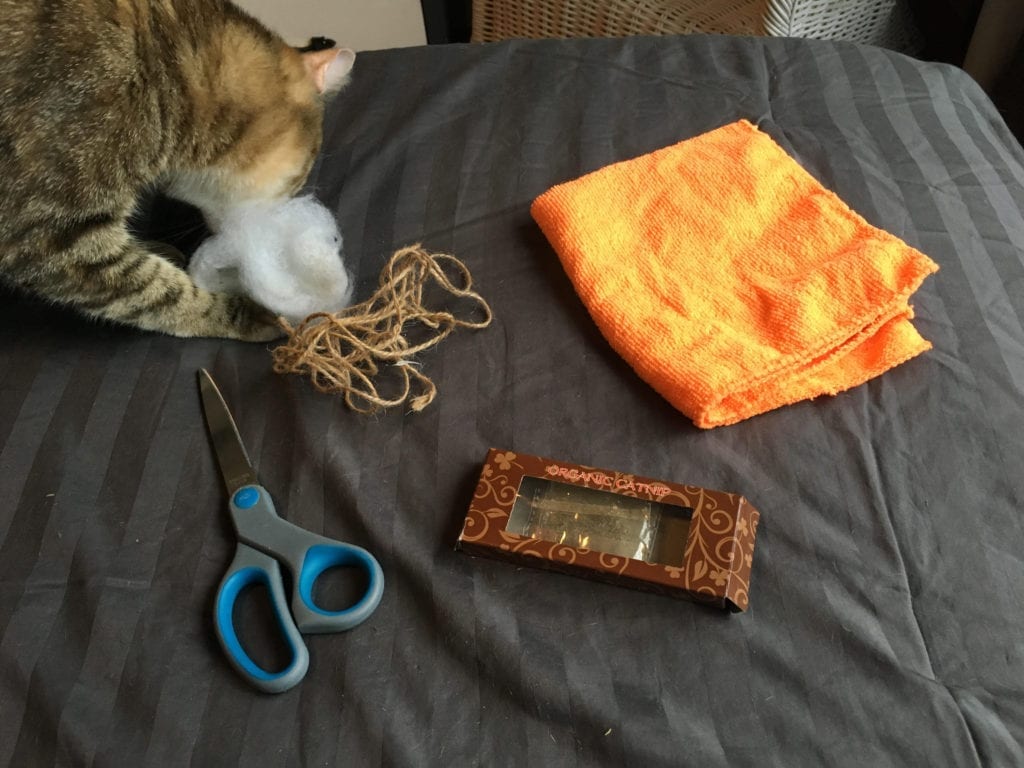 Jouet Pour Chat Faire Soi Mme En Moins De 5 Minutes DIY