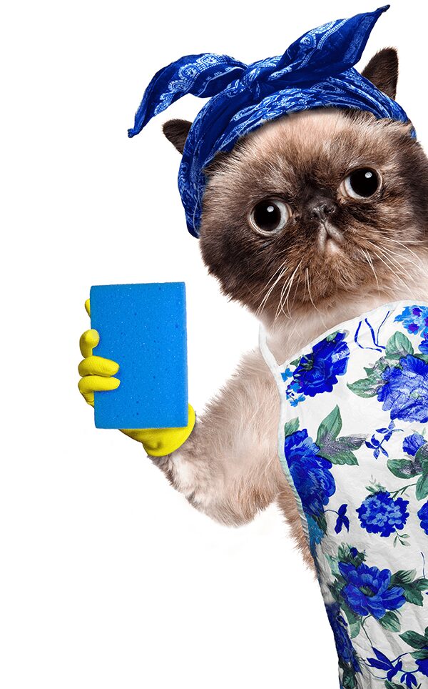 Epic Cats Junkies Nettoyant
